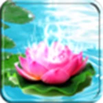 lotus live wallpaper android application logo